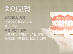 치아교정